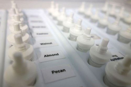 Skin Prick Testing Children Melbourne